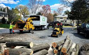 Halifax, VA Tree Services Company