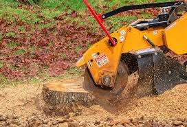 Best Tree Risk Assessment  in Halifax, VA