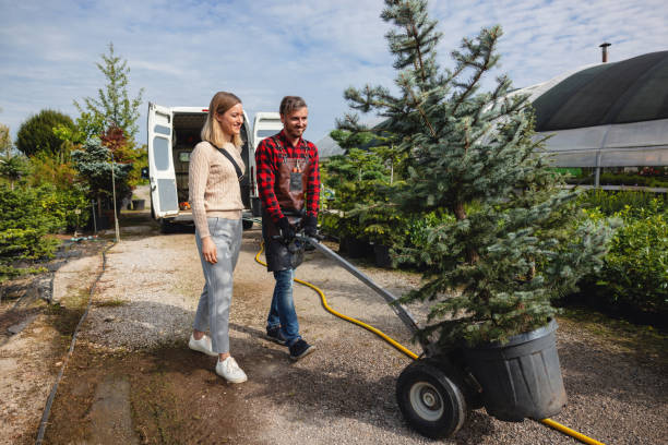 Best Firewood Processing and Delivery  in Halifax, VA